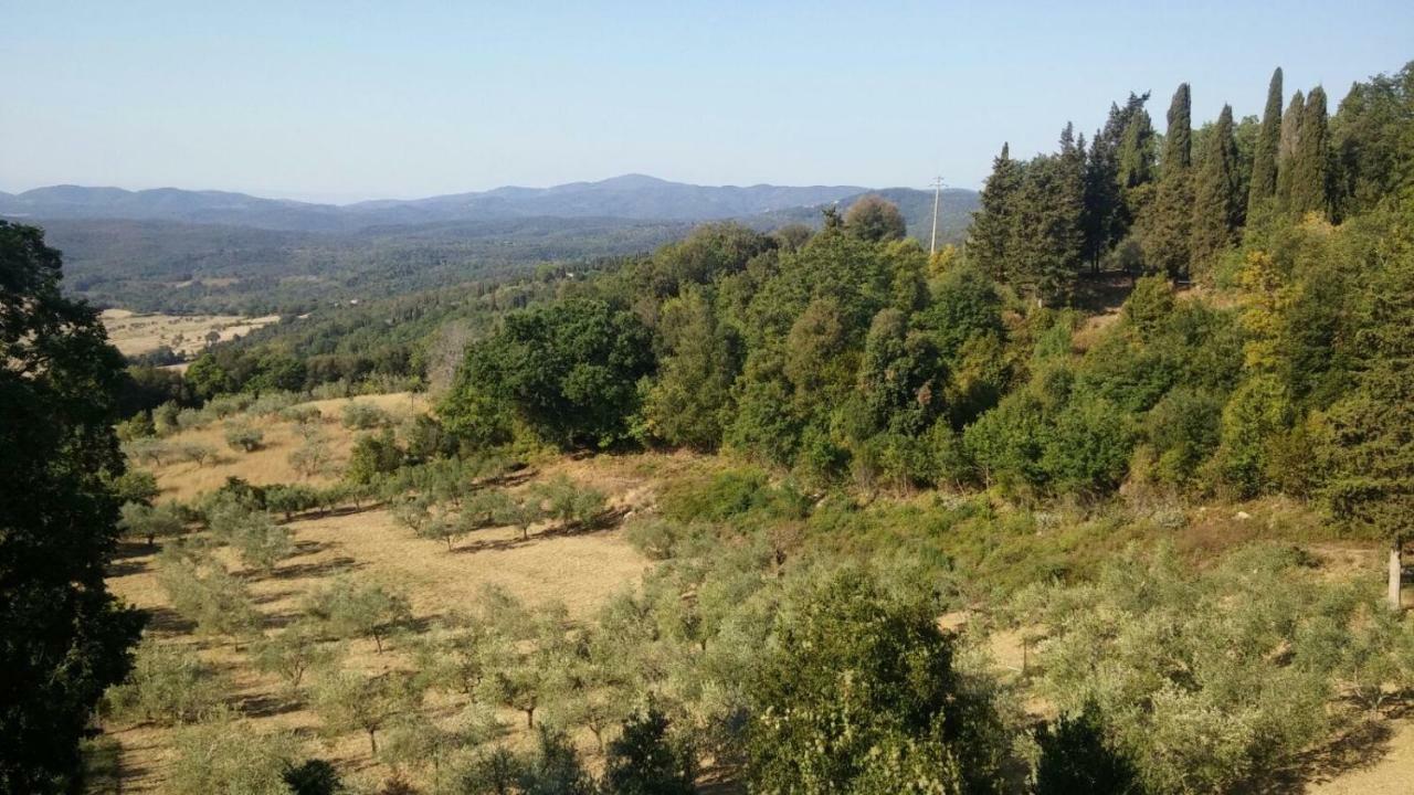 Appartement La Casa Dei Sogni à Monteverdi Marittimo Extérieur photo